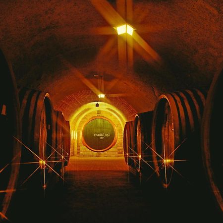Grape&Wine Guesthouse Егер Екстериор снимка