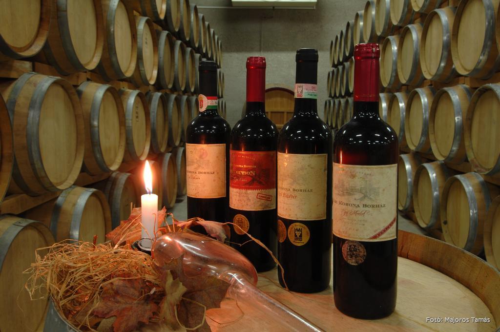 Grape&Wine Guesthouse Егер Екстериор снимка
